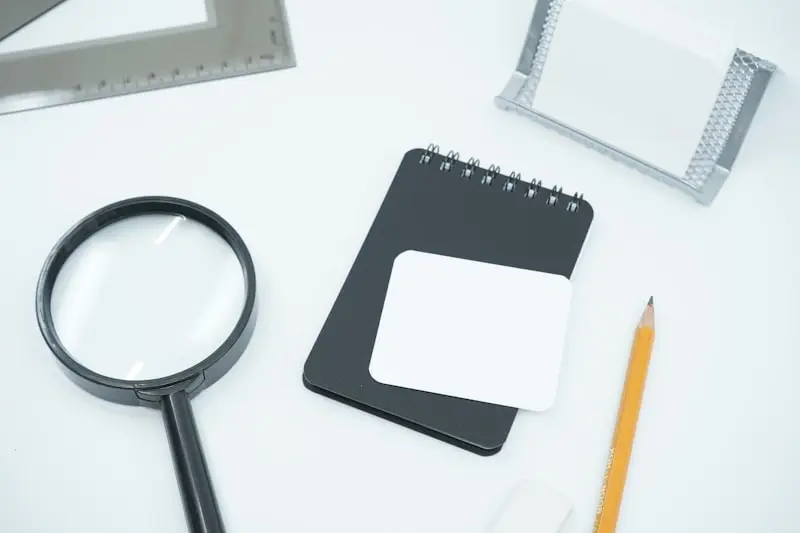 Discovery and audit process